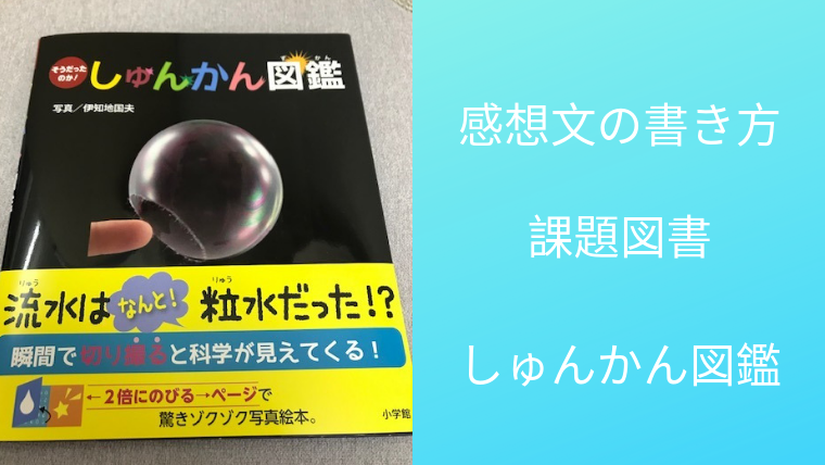 感想文の書き方 19年中学年向け課題図書 しゅんかん図鑑